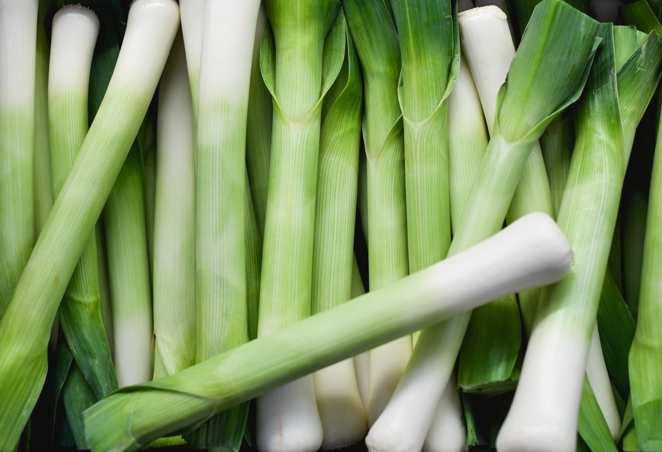 Como cultivar alho-poró adequadamente – um guia prático
