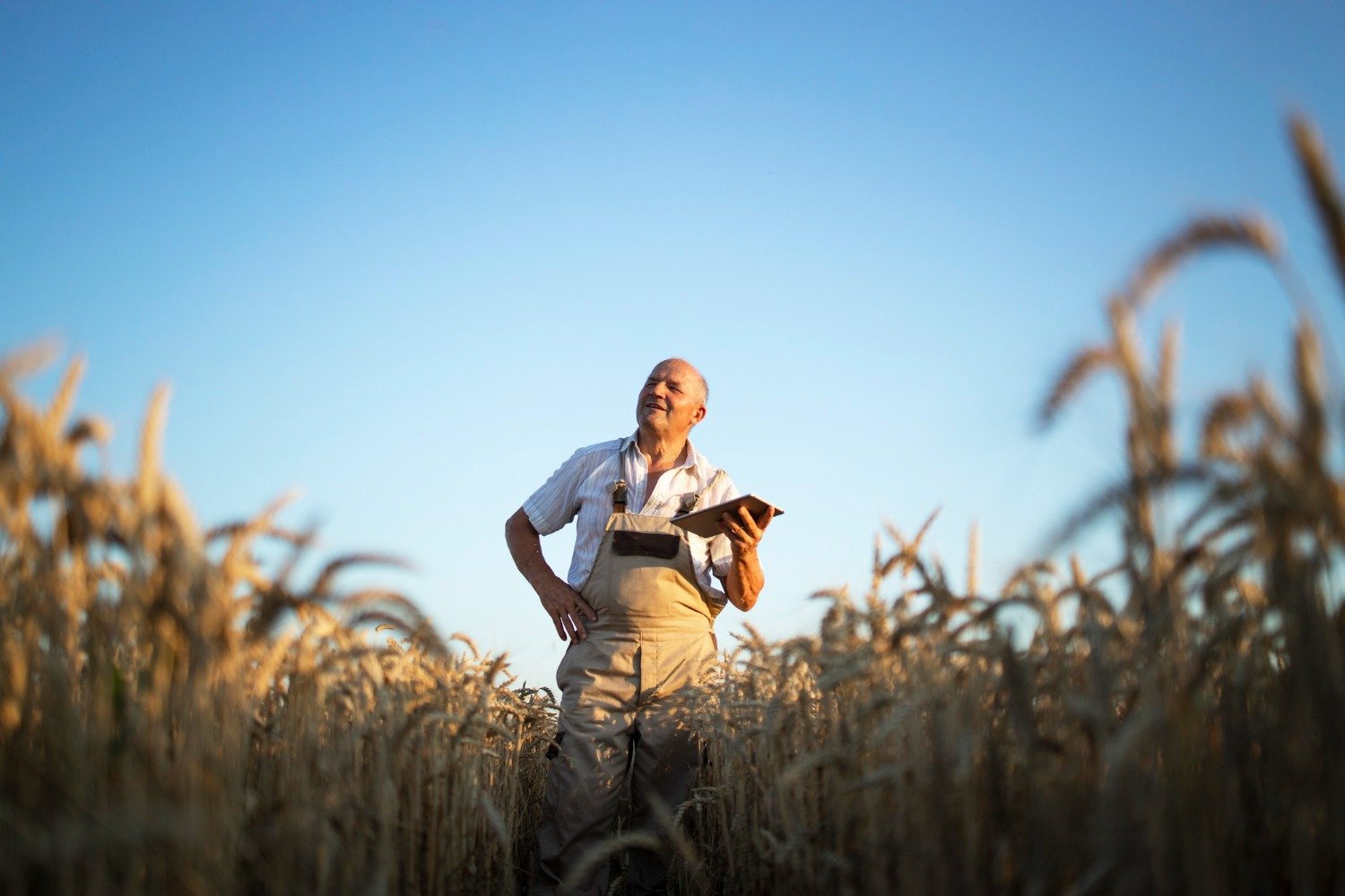 Quantos quilómetros um agricultor percorre por ano – e porque é que pode ser melhor do que o ginásio?